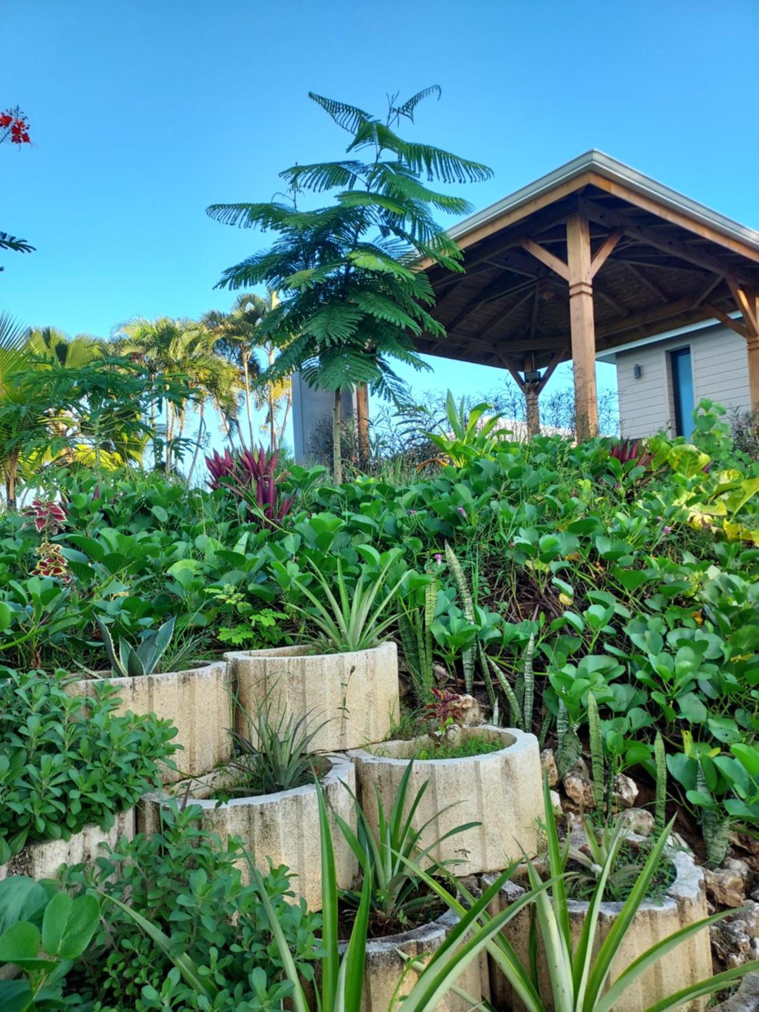 Le Petit Paradis Sainte-Rose Exterior photo